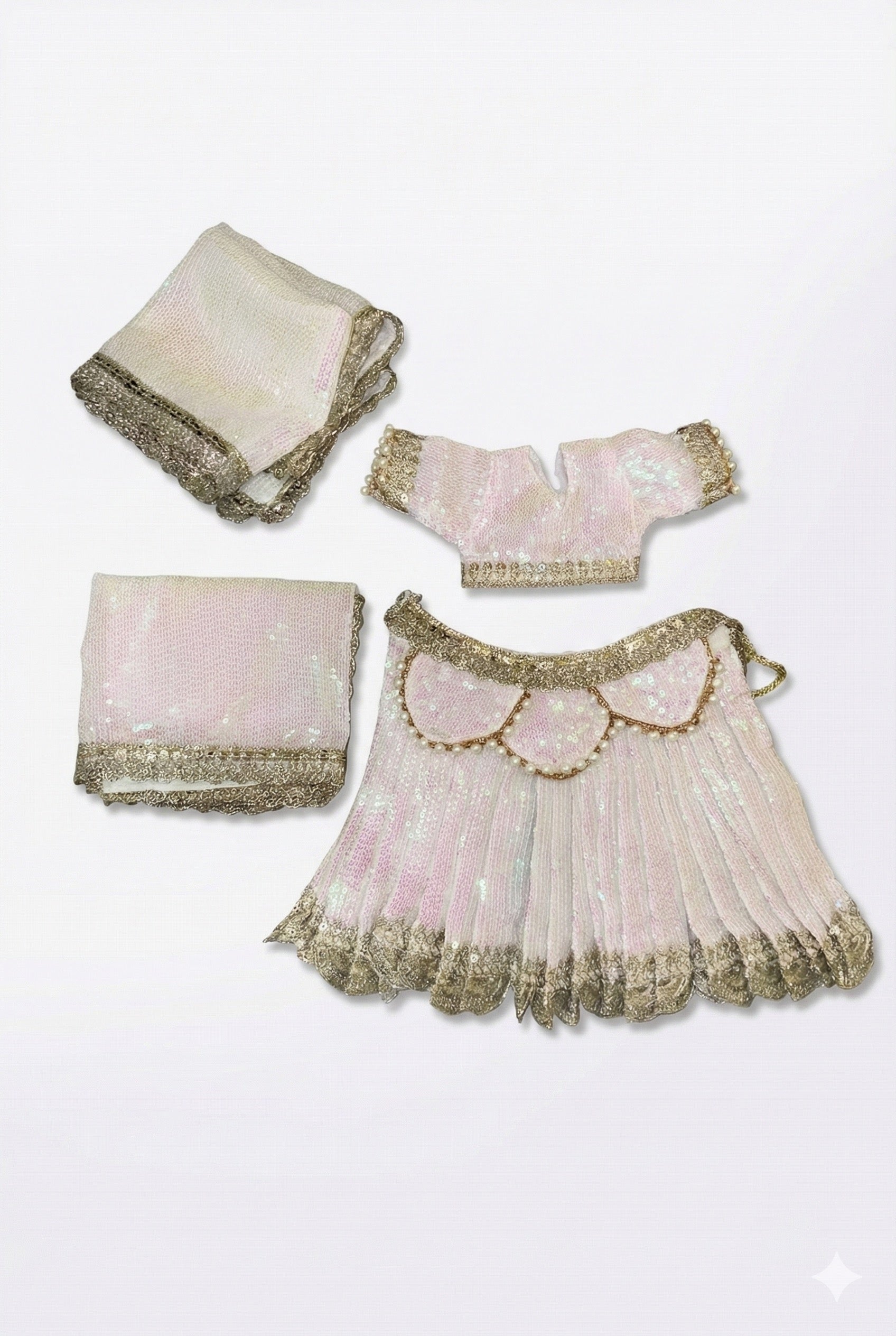 Pearl Blush Raas Lehenga