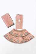 Pink Divya Lehenga